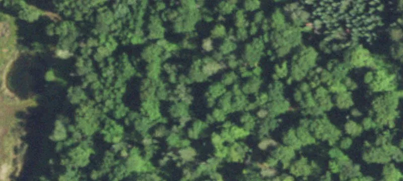 Brantwood, WI 54513