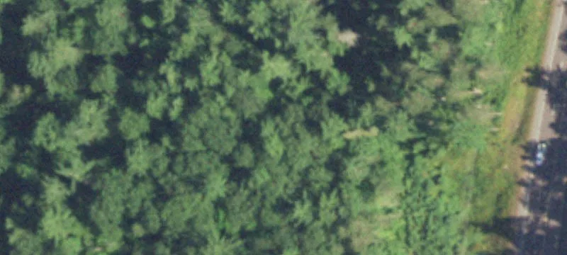 Minocqua, WI 54548