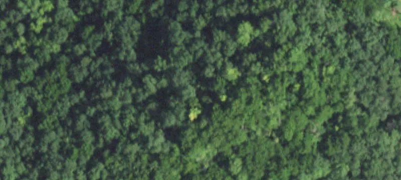 Arcadia, WI 54612