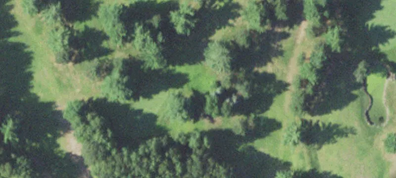 Webster, WI 54893
