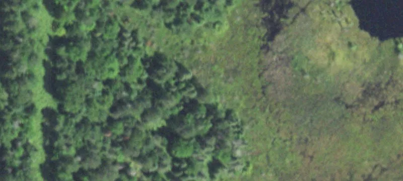 Land O
