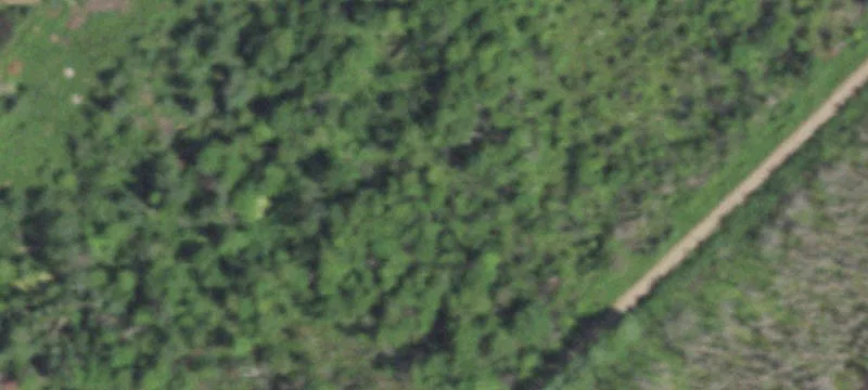 White Lake, WI 54491