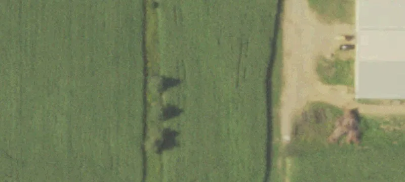 Barron, WI 54812