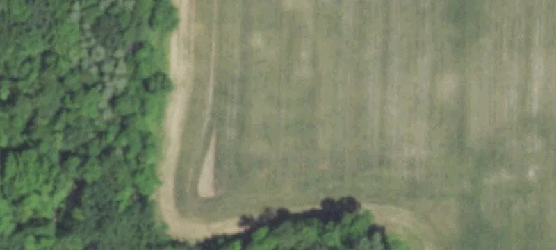 New London, WI 54961