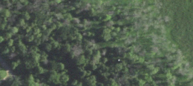 3339th Hickory Pt Rd