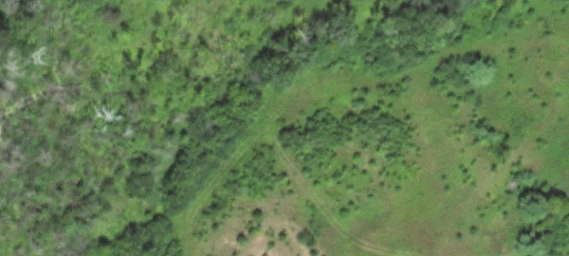 3207 State Rd 35