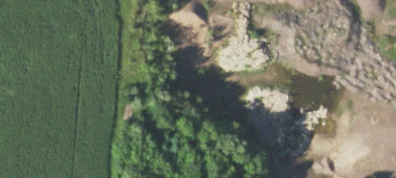 Pittsville, WI 54466
