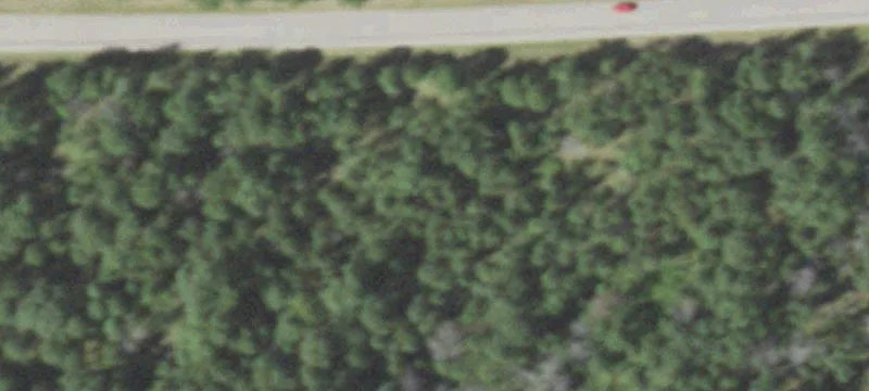 Nekoosa, WI 54457