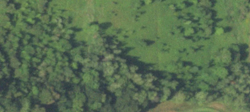 Rice Lake, WI 54868