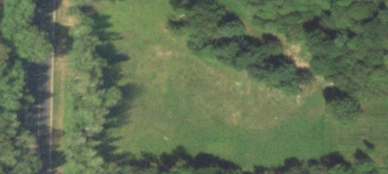 Rice Lake, WI 54868