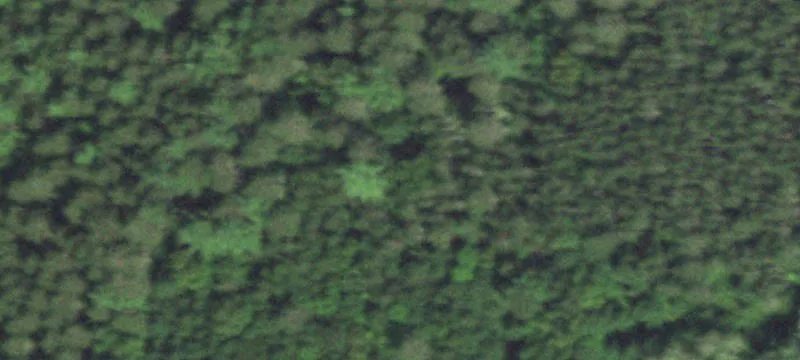 Springbrook, WI 54875
