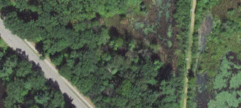 Stevens Point, WI 54481