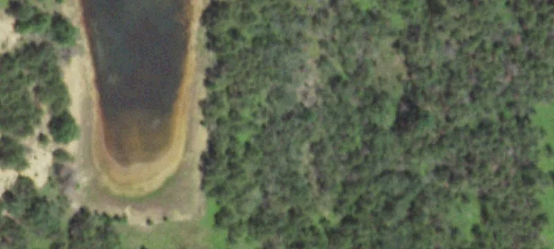 Necedah, WI 54646