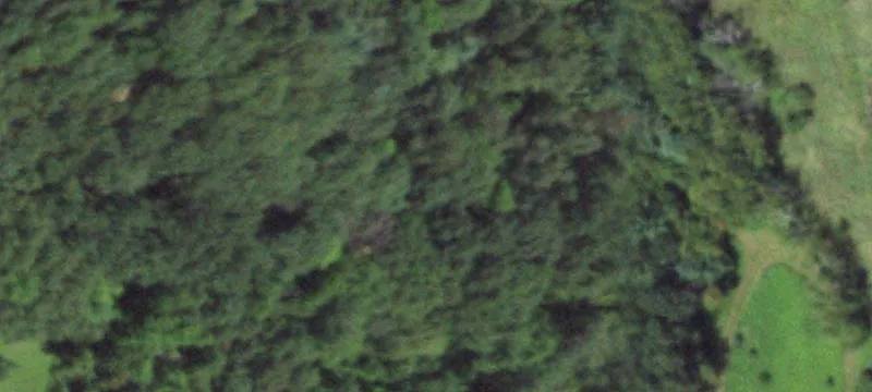 New Lisbon, WI 53950