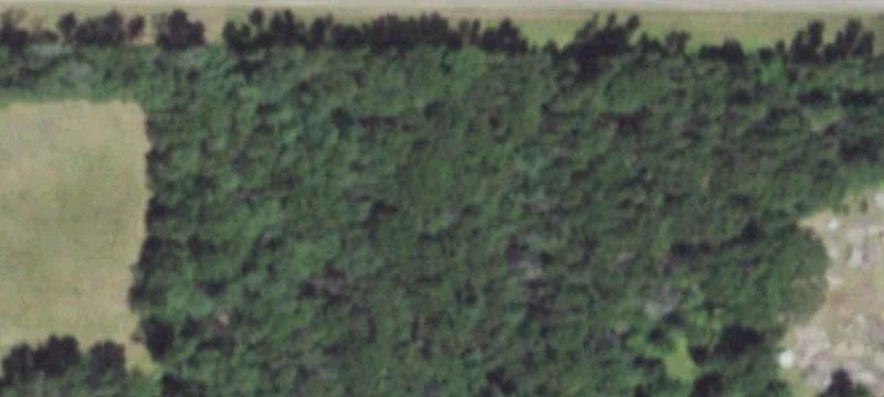 Nekoosa, WI 54457