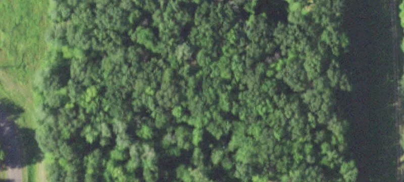 Webster, WI 54893