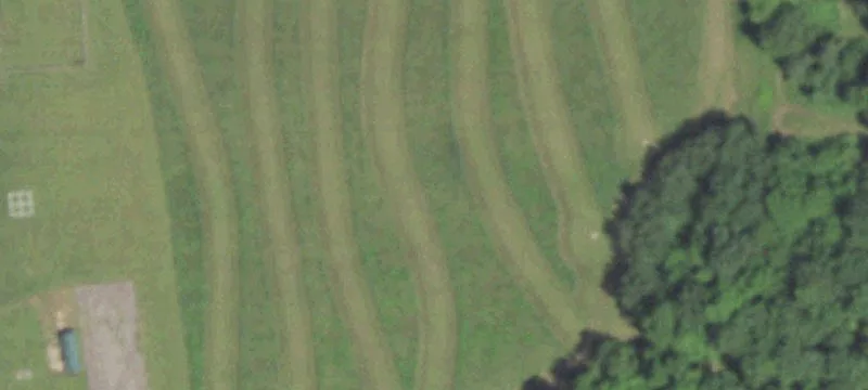 Marion, WI 54950