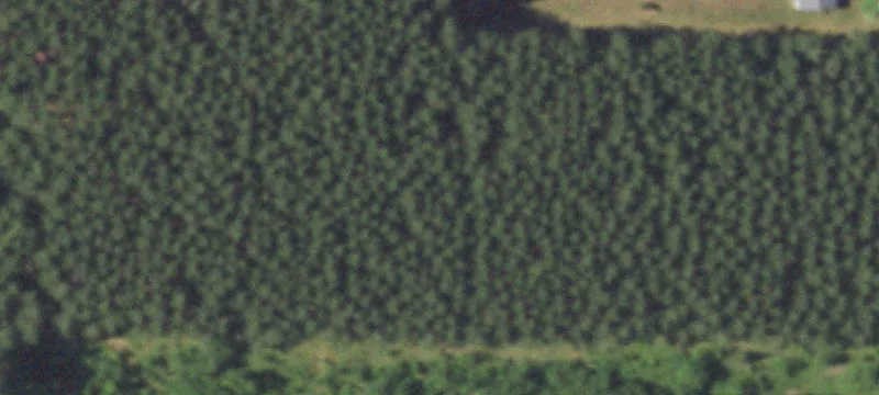 Crivitz, WI 54114
