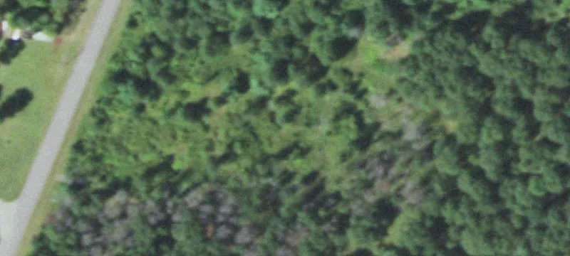 Neillsville, WI 54456