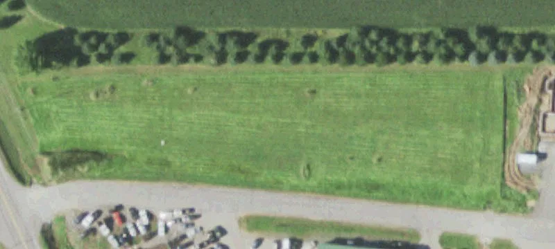 Auburndale, WI 54412