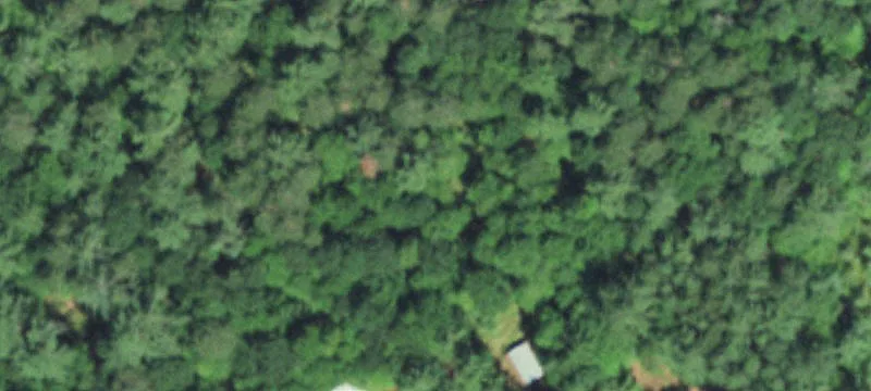 1300 Brandy Lk Rd