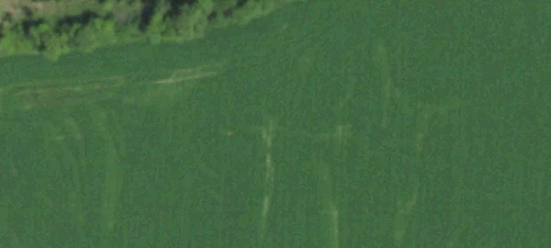 Markesan, WI 53946
