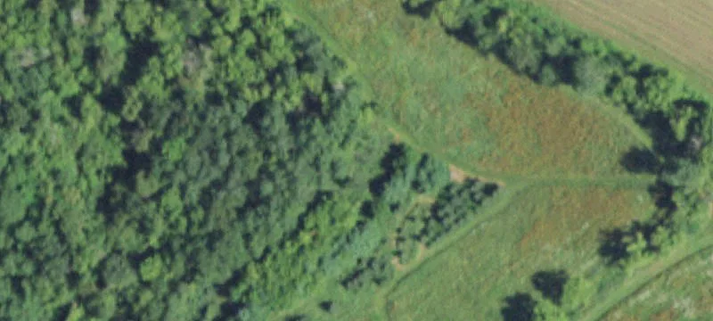 Independence, WI 54747