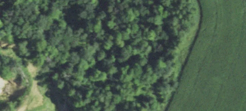 Cashton, WI 54619