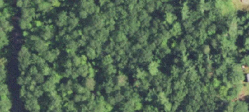 Minocqua, WI 54548