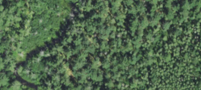 Woodruff, WI 54568