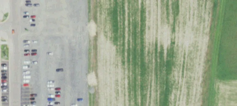 Thorp, WI 54771