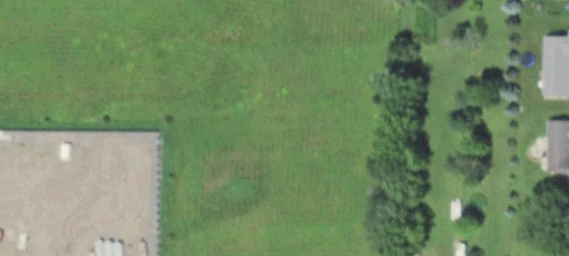 Marshfield, WI 54449