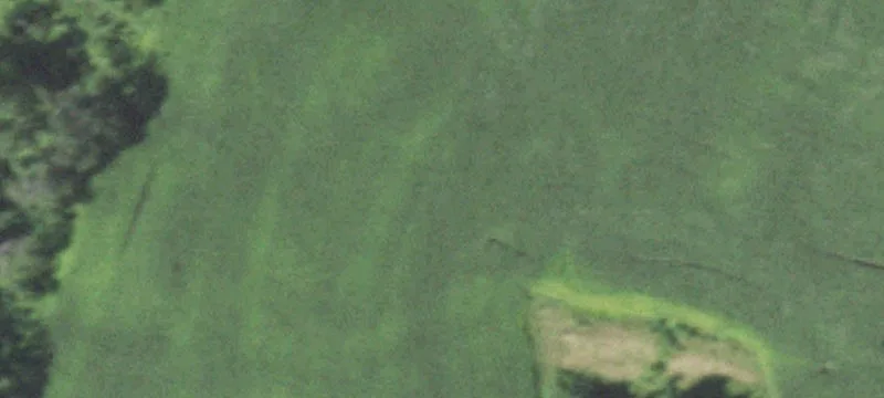 Tomah, WI 54660