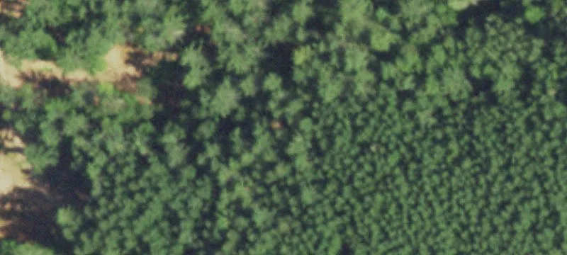 Harshaw, WI 54529