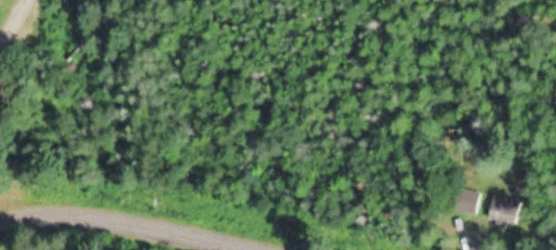 Mercer, WI 54547