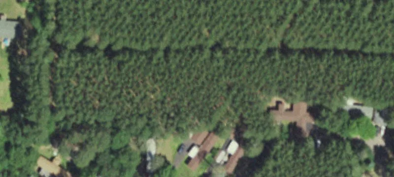 10870 Lk Shr Dr