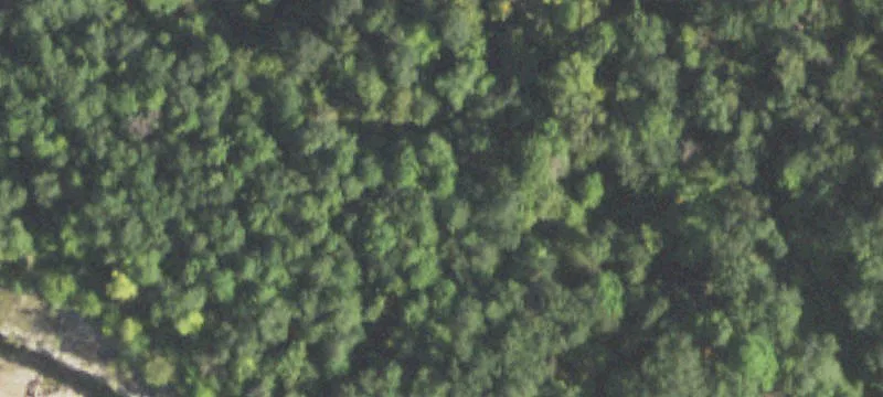 Woodman, WI 53827
