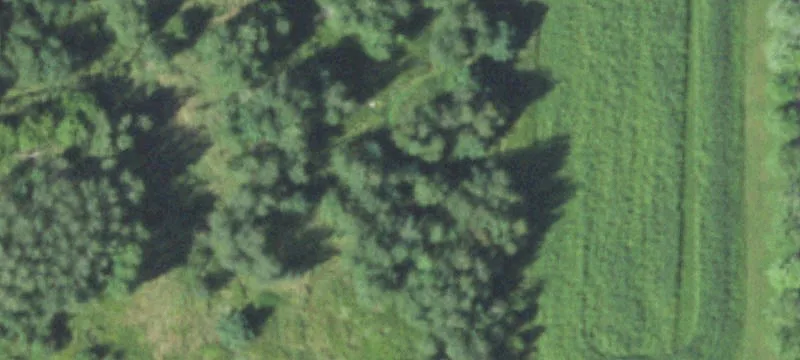 Abbotsford, WI 54405