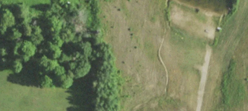 Elcho, WI 54428