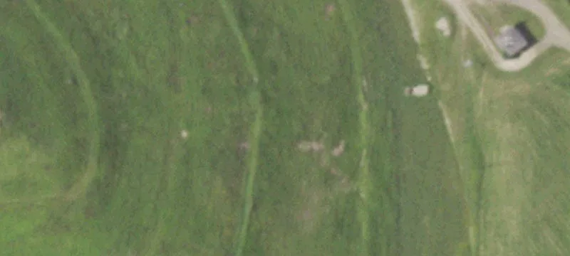 County Line Rd