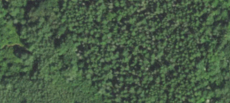 Springbrook, WI 54875