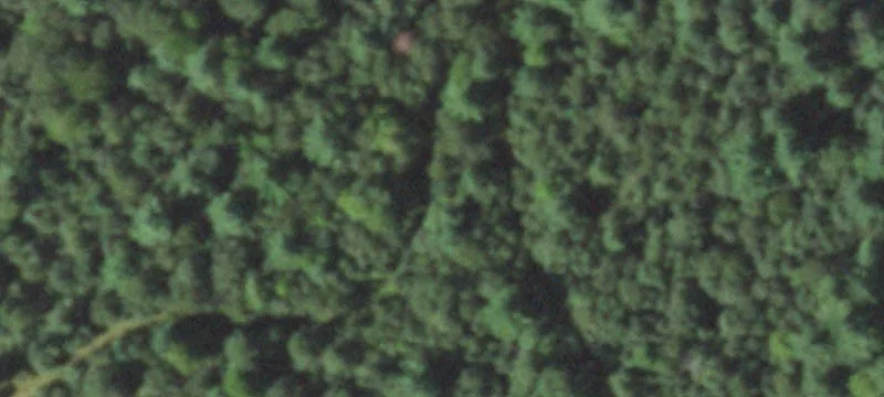 Adams, WI 53910