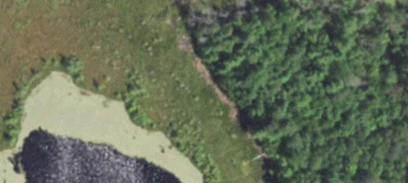 Three Lakes, WI 54562