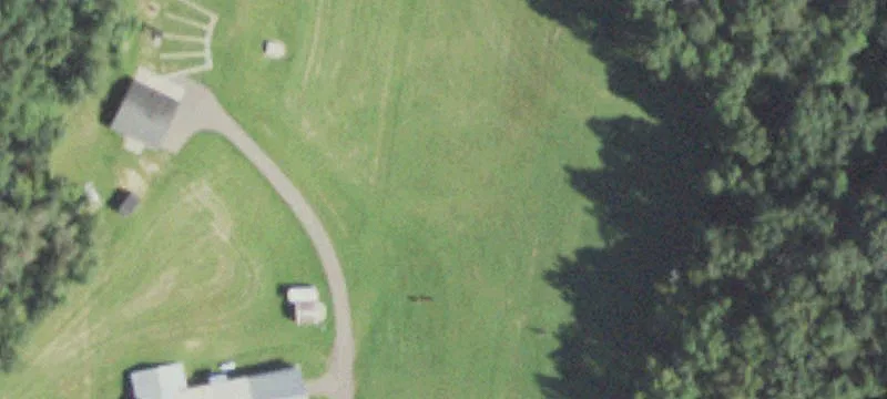11934th Whalen Rd