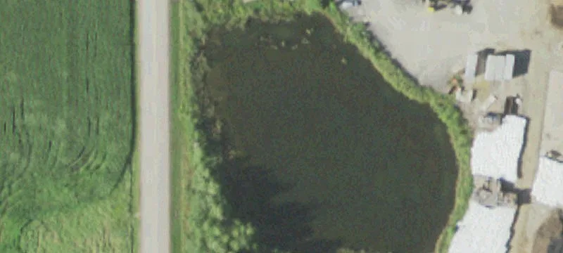 Auburndale, WI 54412