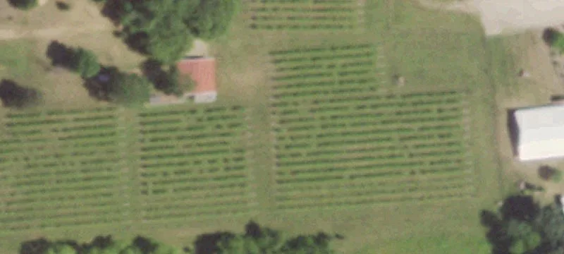 2845th State Hwy 15