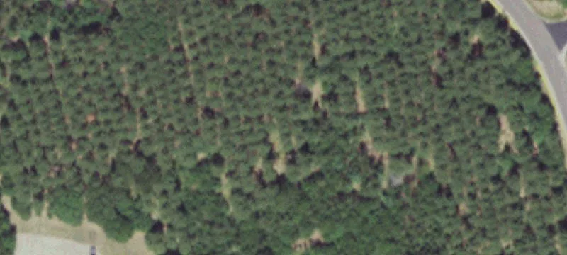 Nekoosa, WI 54457