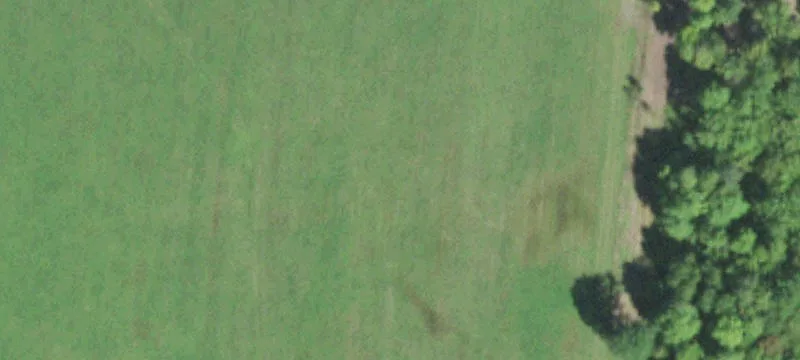 Ogema, WI 54459