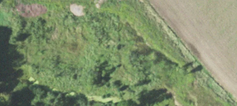 Pittsville, WI 54466