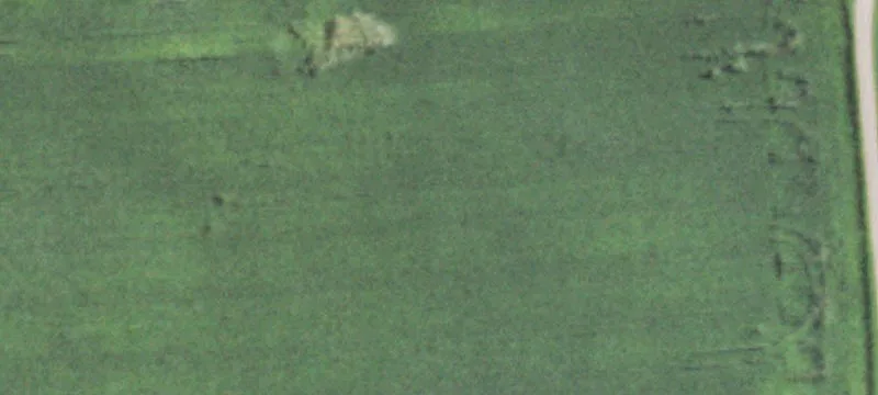 Greenwood, WI 54437